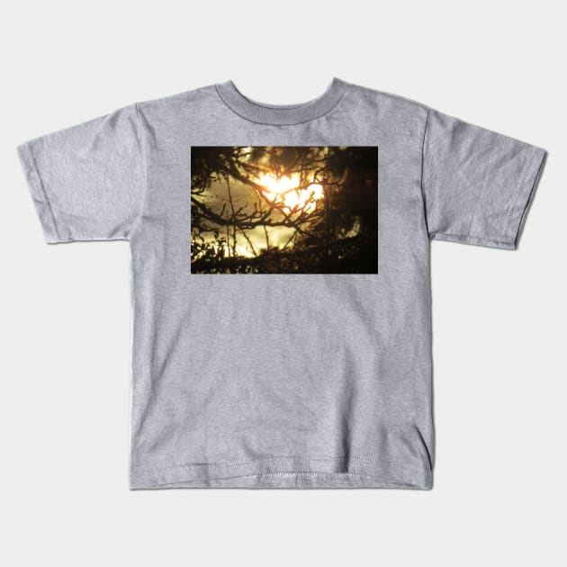 Sunlight Through Branches Kids T-Shirt by ReignyNightz